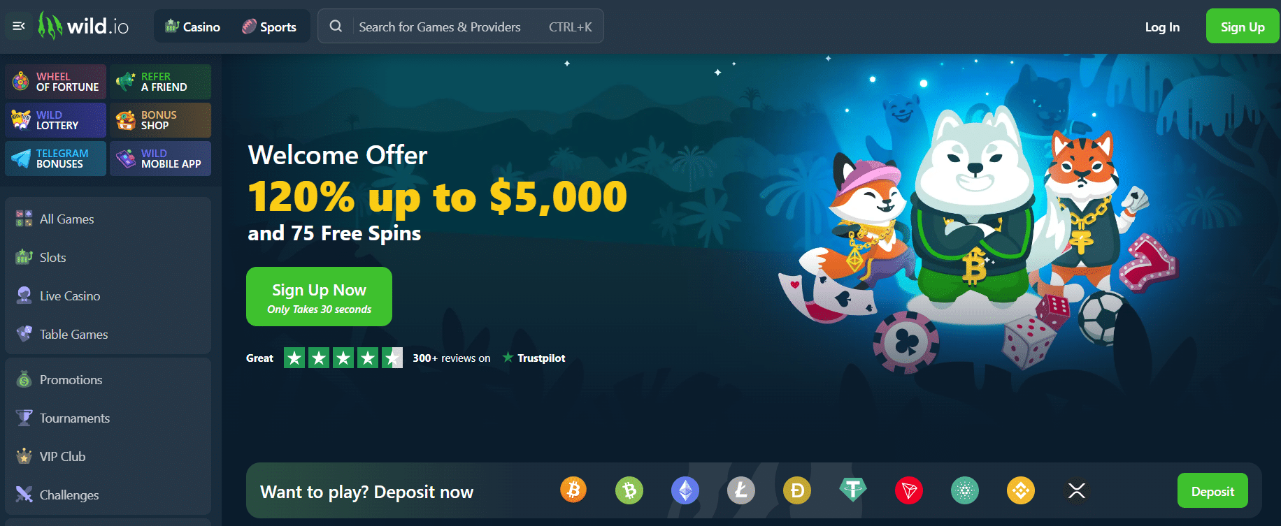 Bitcoin casino Wild.io